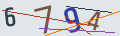 verifycode